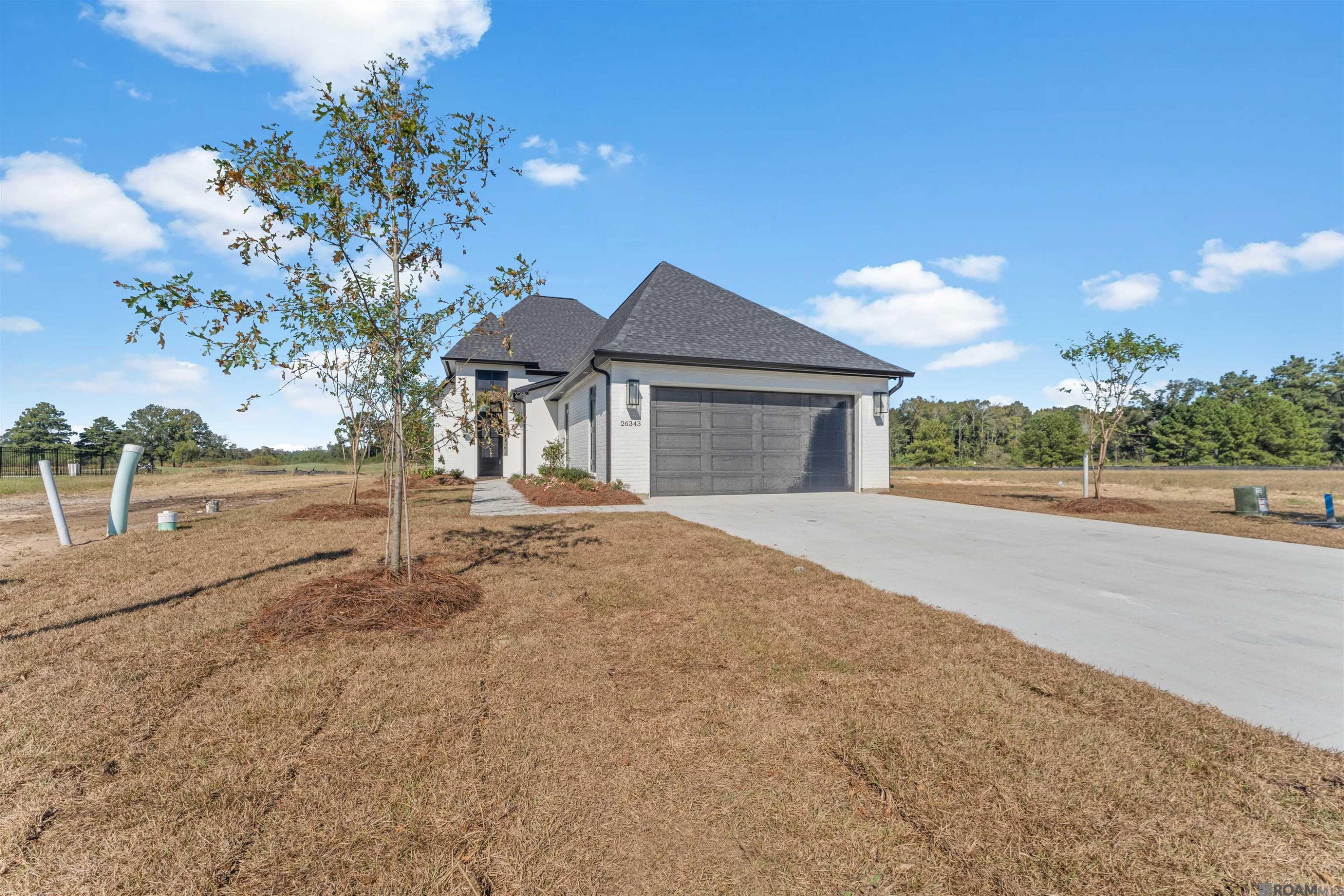 Photo 1 of 22 for 26343 Somerset Hills Ct, Denham Springs LA 70726